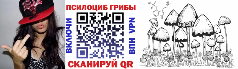 blacksprut сайт  наркошоп  Дрезна  сайты даркнета наркотические препараты  Псилоцибиновые грибы Psilocybine cubensis 